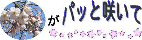 ʐ^